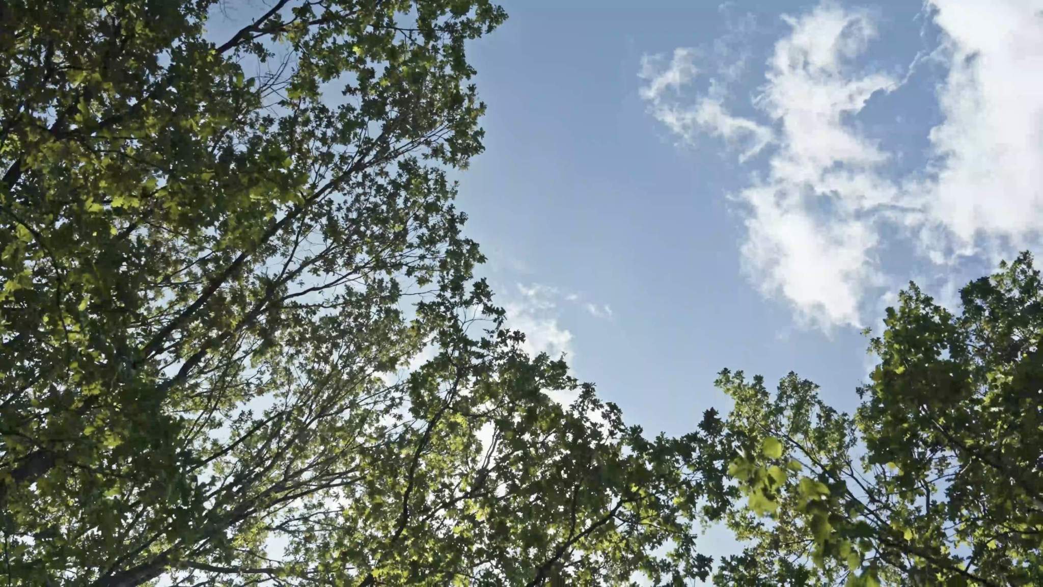 Купить  помещение свободного назначения