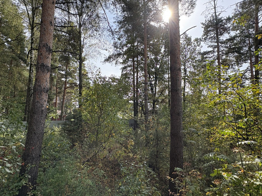 Купить  участок