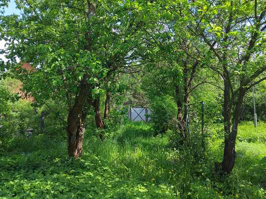 Купить  участок