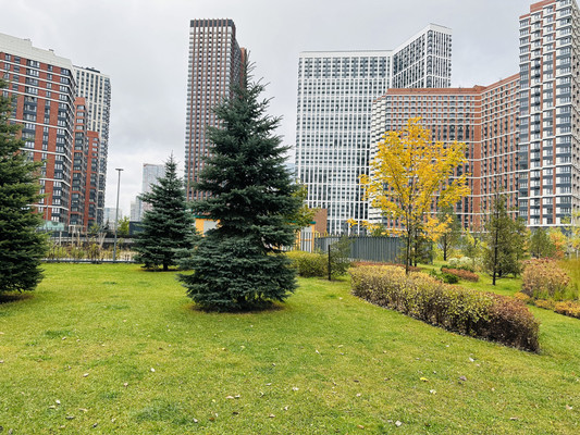 Купить 3-комнатную квартиру