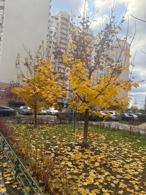 Купить 2-комнатную квартиру