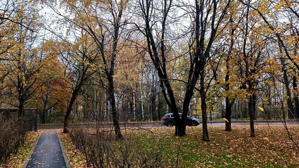 Купить 2-комнатную квартиру