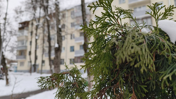 Купить 2-комнатную квартиру