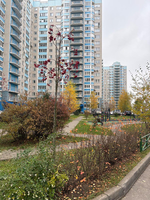 Купить 3-комнатную квартиру