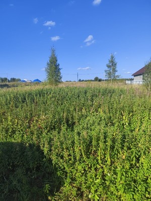 Купить  участок