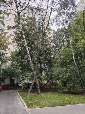 Купить 1-комнатную квартиру