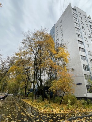 Купить 1-комнатную квартиру